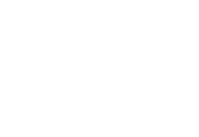 logo-labiz-white